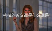 拂拭的近義詞是什么詞是什么（拂拭的近義詞）