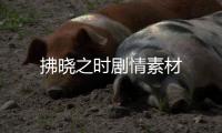 拂曉之時劇情素材
