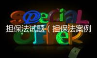 擔保法試題（擔保法案例）