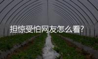 擔驚受怕網友怎么看?