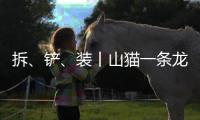 拆、鏟、裝丨山貓一條龍服務！