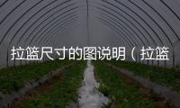 拉籃尺寸的圖說明（拉籃尺寸）