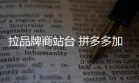 拉品牌商站臺 拼多多加速洗白
