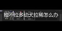 拉不拉多幼犬拉稀怎么辦6天了？拉不拉多幼犬拉稀怎么辦6個月