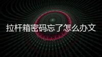 拉桿箱密碼忘了怎么辦文章講解，拉桿箱密碼忘了怎么辦