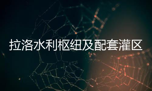 拉洛水利樞紐及配套灌區(qū)工程魚道獲吉尼斯紀(jì)錄稱號