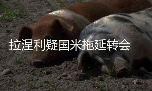 拉涅利疑國米拖延轉會 萊奧拉稱英國報紙宜擦車