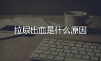 拉尿出血是什么原因