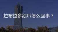 拉布拉多狼爪怎么回事？拉布拉多爪子