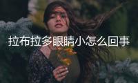 拉布拉多眼睛小怎么回事？拉布拉多眼睛小是純種嗎