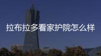 拉布拉多看家護院怎么樣(拉布拉多戰斗力怎么樣)
