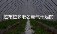 拉布拉多取名霸氣十足的名字  拉布拉多取名霸氣十足好聽嗎