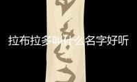 拉布拉多叫什么名字好聽(拉布拉多取名字大全)