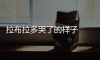 拉布拉多哭了的樣子  拉布拉多狗發出哭的叫聲