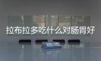 拉布拉多吃什么對腸胃好(拉布拉多腸胃不好怎么辦吃什么藥)