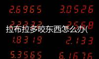 拉布拉多咬東西怎么辦(拉布拉多喜歡咬東西怎么辦)