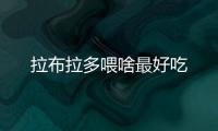 拉布拉多喂啥最好吃
