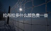 拉布拉多什么顏色貴一些？拉布拉多什么顏色的貴