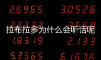 拉布拉多為什么會聽話呢？拉布拉多為什么不聽話