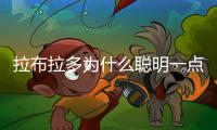 拉布拉多為什么聰明一點(diǎn)？拉布拉多太聰明了