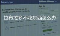 拉布拉多不吃東西怎么辦(拉布拉多不吃東西沒精神怎么辦)