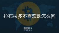 拉布拉多不喜歡動怎么回事？拉布拉多不喜歡主人的表現