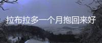 拉布拉多一個月抱回來好養(yǎng)嗎(一個月的拉布拉多牙齒全長了)