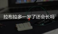 拉布拉多一歲了還會長嗎？拉布拉多一歲后的變化