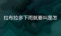 拉布拉多下雨就要叫是怎么回事(拉布拉多下雨天能不能出門)