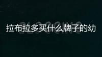 拉布拉多買什么牌子的幼犬糧好？拉布拉多買什么牌子的幼犬糧比較好