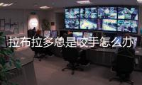拉布拉多總是咬手怎么辦？拉布拉多總是咬主人手