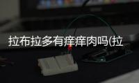 拉布拉多有癢癢肉嗎(拉布拉多肉好吃嗎)