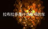 拉布拉多是什么型號的車(拉布拉多嘴套型號)