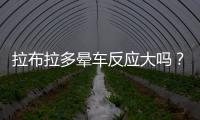 拉布拉多暈車反應大嗎？拉布拉多如果突然站不穩了嘔吐怎么辦