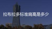 拉布拉多標準肩高是多少，拉布拉多犬肩高標準