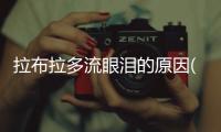 拉布拉多流眼淚的原因(拉布拉多口臭是什么原因)