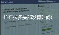 拉布拉多頭部發育時間(拉布拉多發育期)