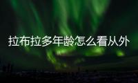 拉布拉多年齡怎么看從外表？拉布拉多年齡怎么分