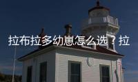 拉布拉多幼崽怎么選？拉布拉多幼犬怎么挑品相