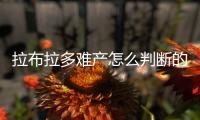 拉布拉多難產怎么判斷的？拉布拉多難產怎么判斷有沒有奶