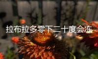 拉布拉多零下二十度會凍死嗎？拉布拉多 零下二十度能凍死嗎