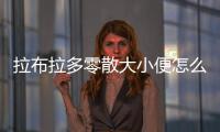 拉布拉多零散大小便怎么回事？拉布拉多幼犬大小便