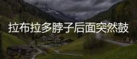 拉布拉多脖子后面突然鼓起來(lái)一個(gè)肉球(拉布拉多脖子下面有贅肉)