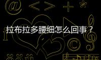 拉布拉多腰細(xì)怎么回事？拉布拉多腰顯得特別瘦