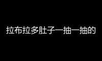 拉布拉多肚子一抽一抽的(拉布拉多肚子上有紅疙瘩)