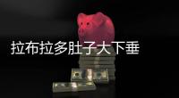 拉布拉多肚子大下垂  拉布拉多肚子小正常嗎