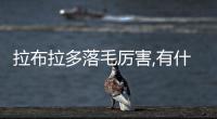 拉布拉多落毛厲害,有什么辦法不(拉布拉多掉毛嚴重怎么辦)