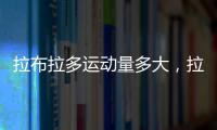 拉布拉多運動量多大，拉布拉多運動時間