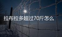 拉布拉多超過70斤怎么辦？拉布拉多七十多斤怎么辦