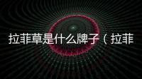 拉菲草是什么牌子（拉菲草是什么）